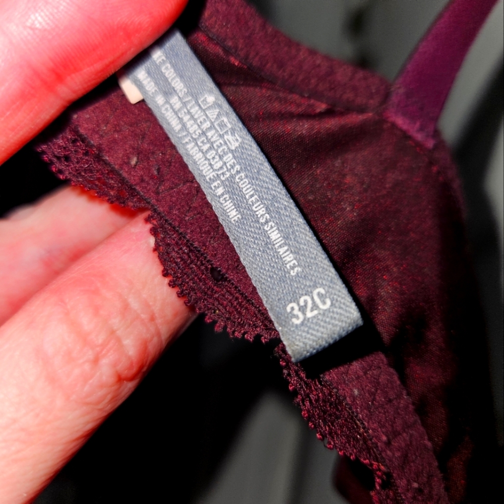 Aerie Maroon Lace Push up Bra